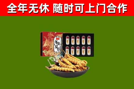 阳西烟酒回收冬虫夏草礼盒.jpg