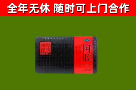 阳西回收阿胶